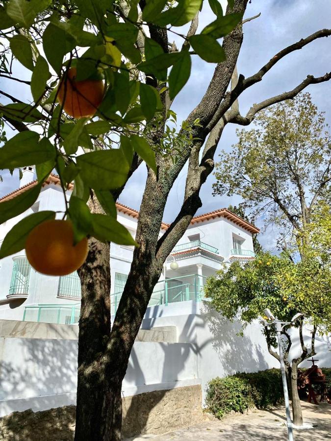 Los Almendros - Free Parking Kordoba Bagian luar foto